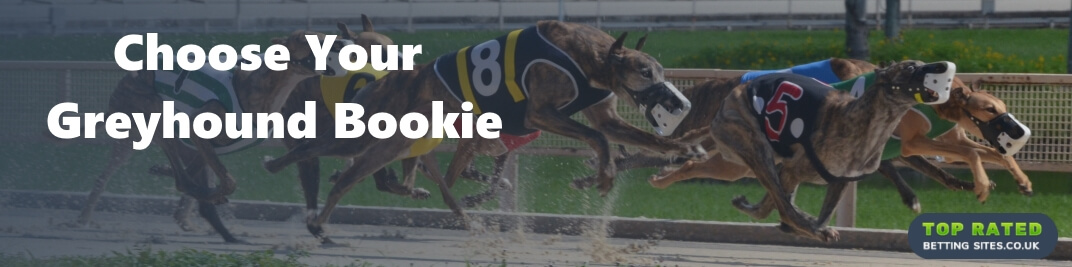 Find the best greyhound betting sites.