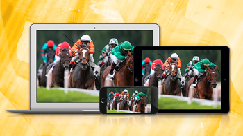 RaceBets has a superb live streaming feature.